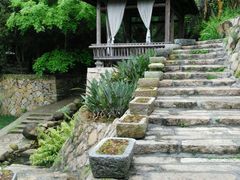 -厦门园林植物园-植物园滴水山房