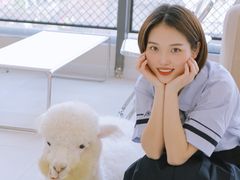 -怪兽屋·羊驼·猫咖·狗咖(俊华广场店)