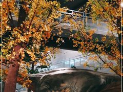 -湖南省地质博物馆