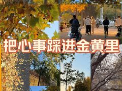 -北山街历史文化街区