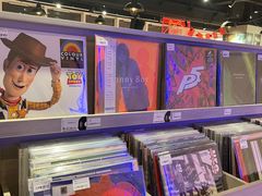 -浣熊唱片店(上海影城店)