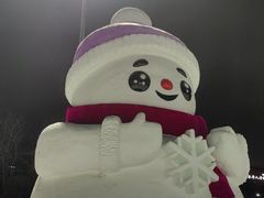 -沈阳奥体冰雪嘉年华