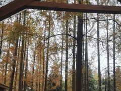 -上海怡沁园度假酒店