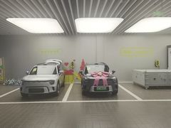 -上海浦东smart汽车全功能店(金桥店)