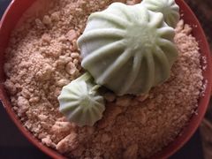 -青咖啡(三坊七巷店)