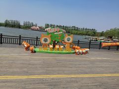 -上海长兴岛郊野公园