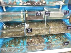 -北戴河庆山饭店·海鲜砂锅粥(北戴河黑石路店)