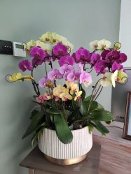 -无界瑜伽普拉提