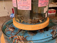 水产区-荔城生鲜盛宴(番禺旗舰店)