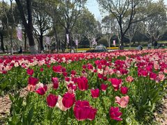 -上海鲜花港
