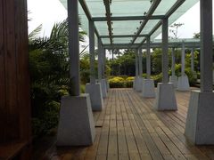 景点-大湾区中央湿地公园