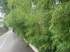 -海底捞火锅(大融城店)