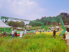 -大塘金香草谷