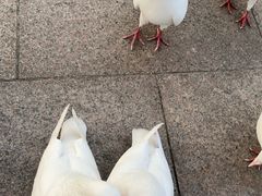-人民广场