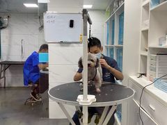 -萌兽医馆·宠物医院·猫骨科(创景店)