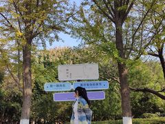 -徐州龟山景区