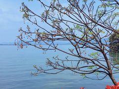 -东钱湖旅游度假区