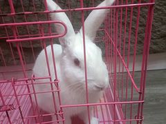 -七甲山烤肉(长白山奇石山珍根艺一条街店)