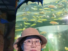 -洛阳龙门海洋馆