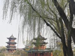 -迎泽公园