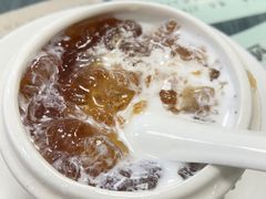 -俊丽双皮奶甜品店