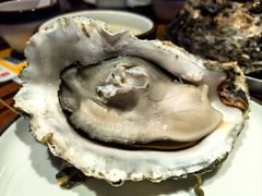 -蚝堡海鲜·威海菜·海肠捞饭·烧烤·亚洲吃蚝公司(幸福门店)