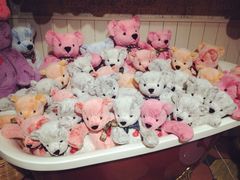 iphone_upload_pic-济州岛泰迪熊博物馆