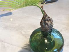 -陶兰居·手工点心·粤菜(圆融时代广场店)