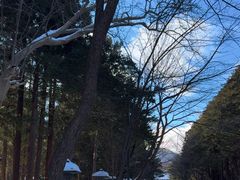 -北海道神宫