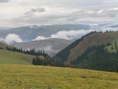 -新疆那拉提国家旅游度假区