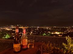 -丽江古城第一观景台