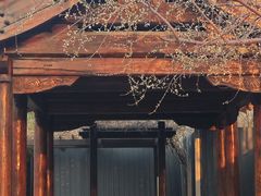 -三里河公园