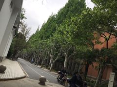 -同济大学四平路校区游泳馆