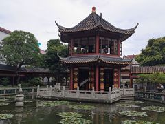 -碧江金楼