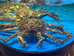 -蟹之国·精品蟹料理(极地店)