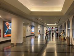-厦门高崎国际机场-T3航站楼
