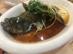 活老虎斑-琼菜王(南海店)