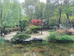 -武汉园博园(武汉自然博物馆)