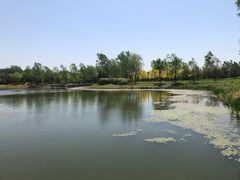 -东郊湿地公园