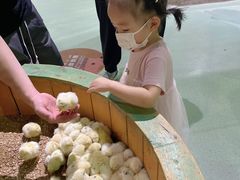 -萌宠奇缘