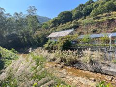 -广州白江湖森林公园