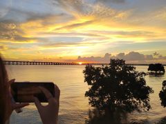 -宝安西湾红树林湿地公园