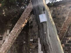 -江南第一家