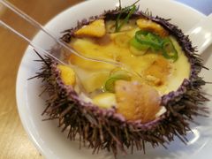 -海胆小馆(东北水饺·春柳店)