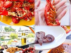 -杨氏青龙虾·羊蝎子(珠江路店)