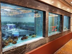 -海逸海鲜酒家(古北店)