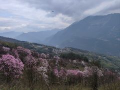 -九皇山景区