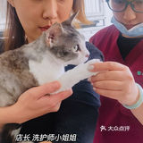 【宠物探店】喜欢上了瑞派家洗护师小姐姐了、果然男喵🐱