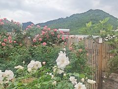 -终南山南五台景区