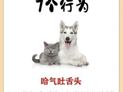 -博特宠物医院24h犬猫全科.骨科·异宠